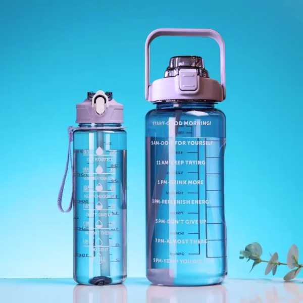 Premium Purple Bottle Set